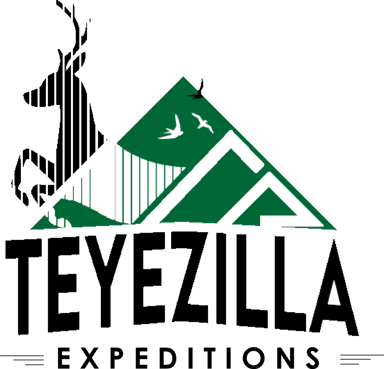 Teyezilla Expeditions